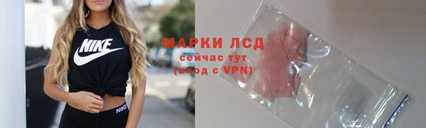 стафф Богородицк